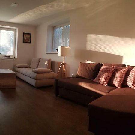 Vip Apartmany Zabnik 普列维扎 外观 照片