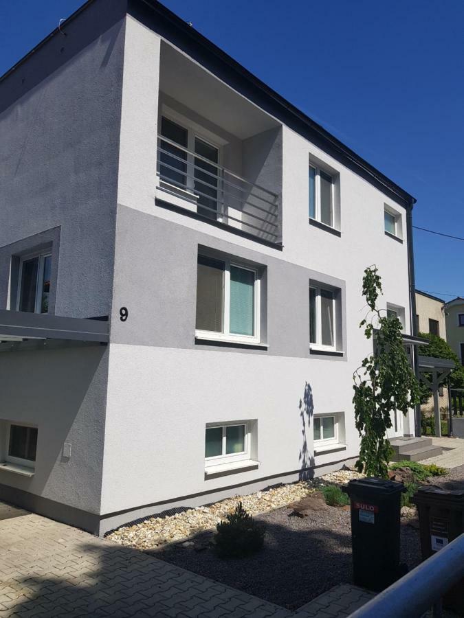 Vip Apartmany Zabnik 普列维扎 外观 照片