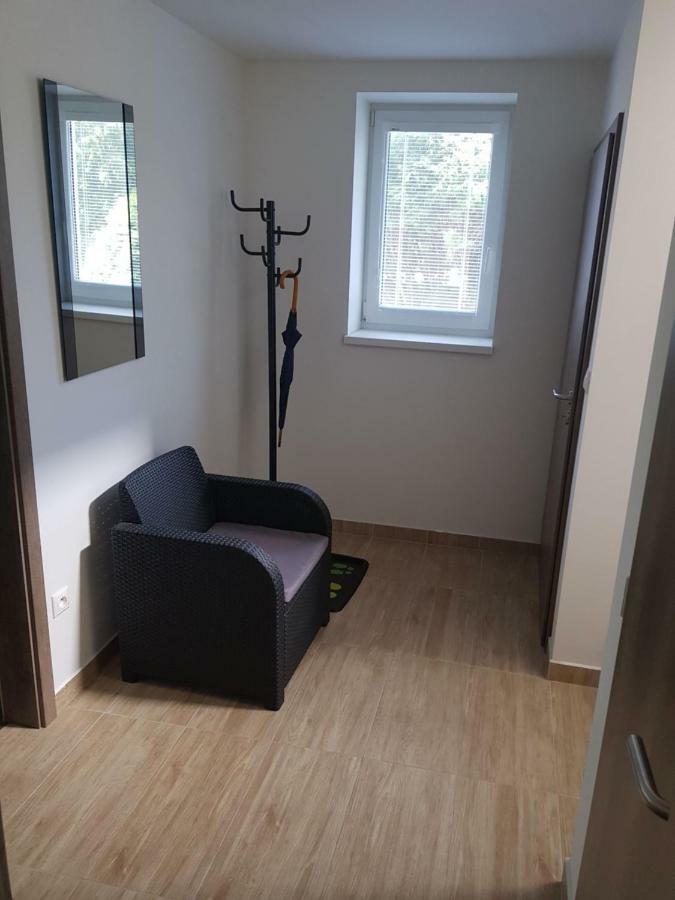 Vip Apartmany Zabnik 普列维扎 外观 照片